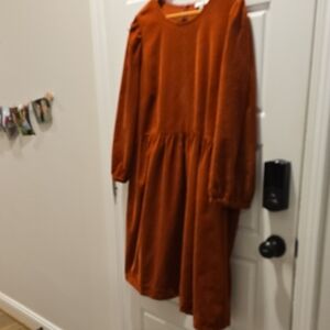 Madewell Burnt Orange Dress